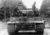Panzer VI Tiger I (21)